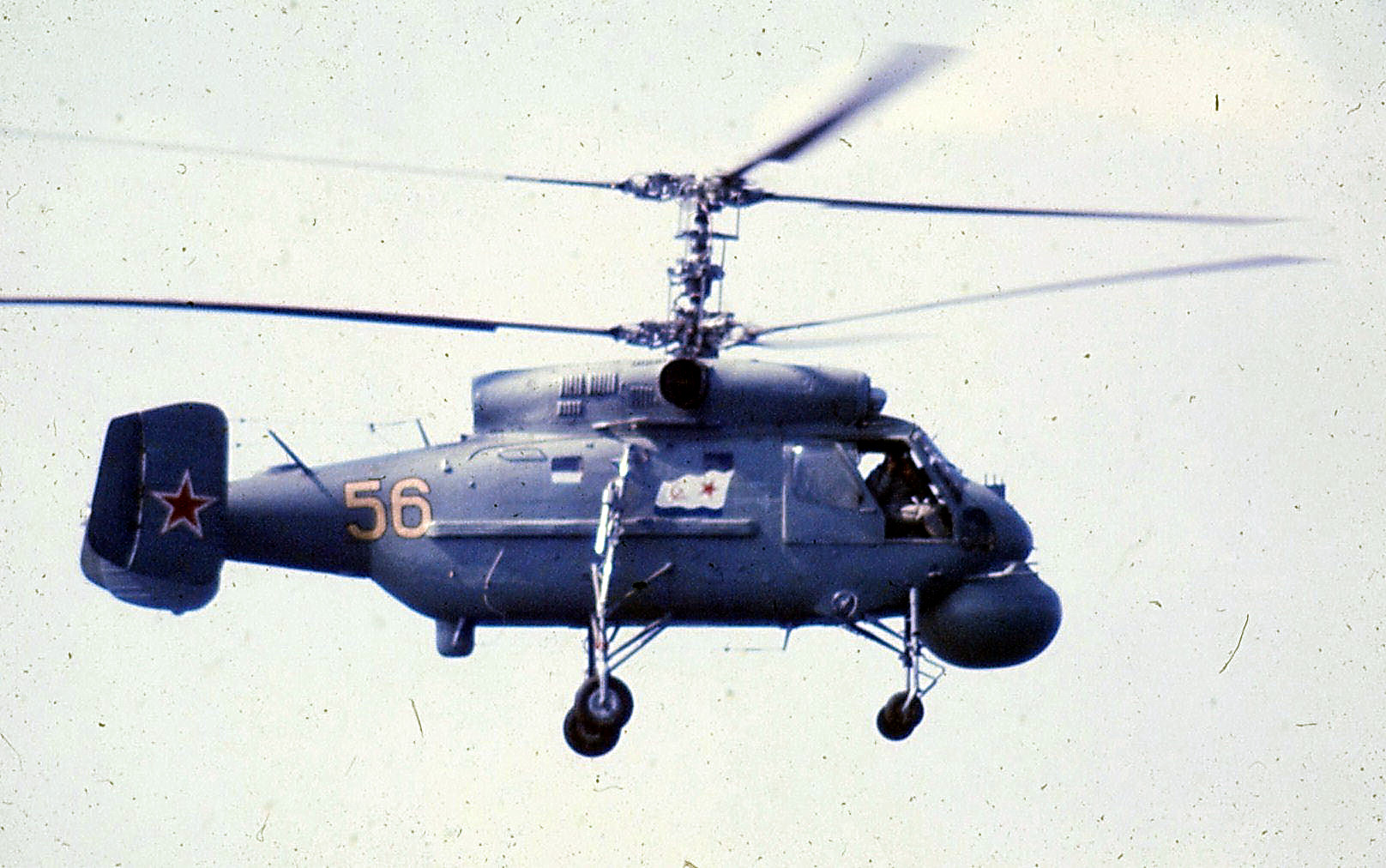 Ruski Hormone chopperS.jpg